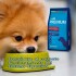 VITAL CAN PREMIUM PERRO ADULTO RAZA PEQUEÑA 7.5 KG VITAL CAN PREMIUM PERRO ADULTO RAZA PEQUEÑA 7.5 KG