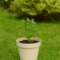 Maceta redonda floratta 3Lts beige ref 8500are GRIS