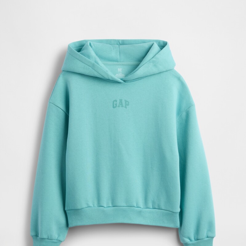 VTG SOFT LOGO PO_FA25 FROSTBITTEN BLUE