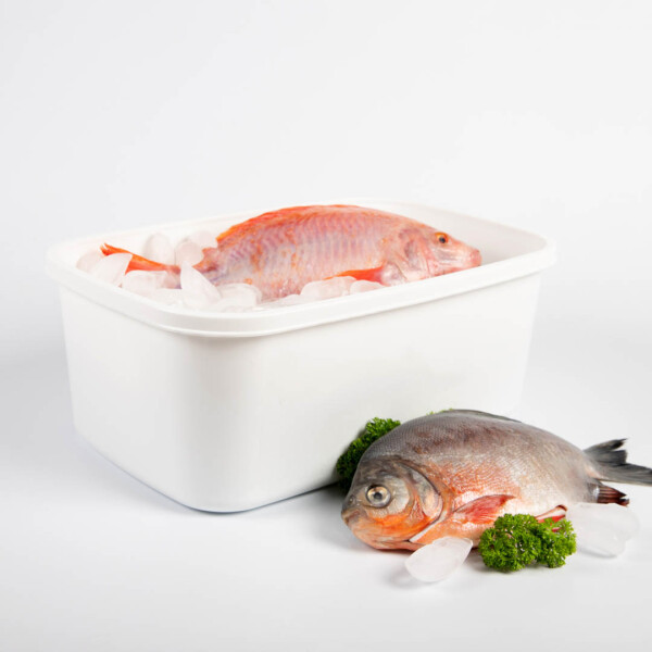 Tupper plastico plus rectangular blanco 8 lts c/tapa Estra Tupper plastico plus rectangular blanco 8 lts c/tapa Estra