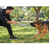 Juguete Para Perro De Cuerda Y Pelota 8 - Okidoki Juguete Para Perro De Cuerda Y Pelota 8 - Okidoki