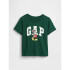V-FRCH DISLOGO X GAP FAM SS GR T EVERGREEN GLAMOUR