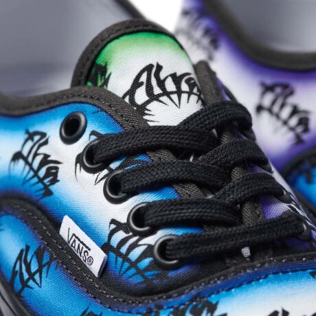 Championes Vans Alva Skates Authentic 44 DX Multi-Color