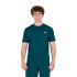 Remera de Hombre New Balance Sport Essentials Cotton Verde