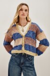 Cardigan Stripes Joseph Multicolor