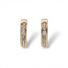 Caravanas Medio aro Zirconia-Plata y oro-Zirconia-CA5034 conpiedra