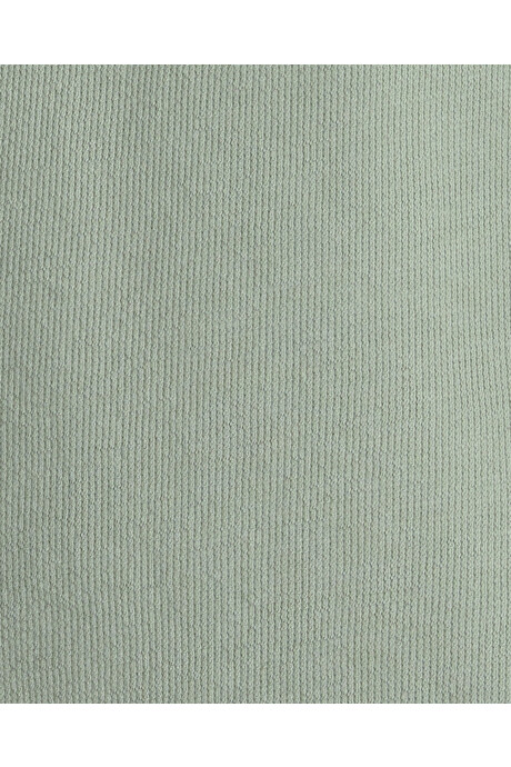 Set dos piezas de algodón, short y remera, verde, iguana bordada. Talles 2-5T Sin color