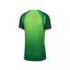 Camiseta Nike Nigeria Local 2026 Green