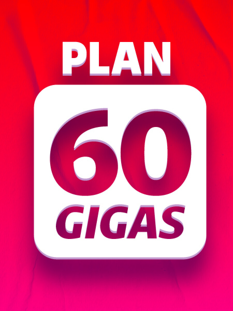 Plan Control 60 Gigas 
