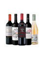 Pack Bacán Selección Orgullo Mundialista x5 vinos Pack Bacán Selección Orgullo Mundialista x5 vinos