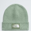 Gorro de punto TNF Slate Moss/bark Mist