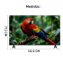 Smart Tv Led Xion 55" Whale TV 55 XION XI-LED55W