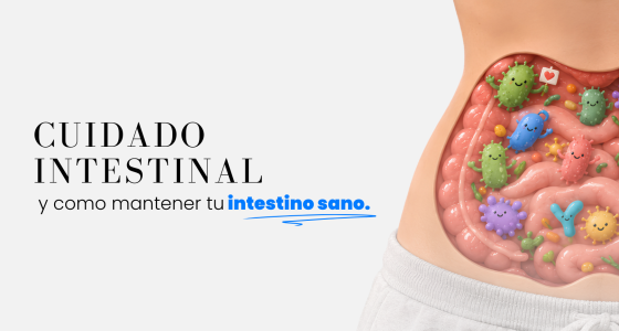 Cuidado intestinal: cómo mantener tu intestino sano