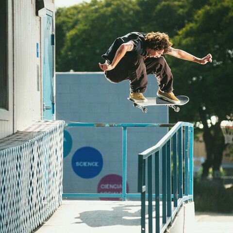Championes Emerica The Hoban Kelp