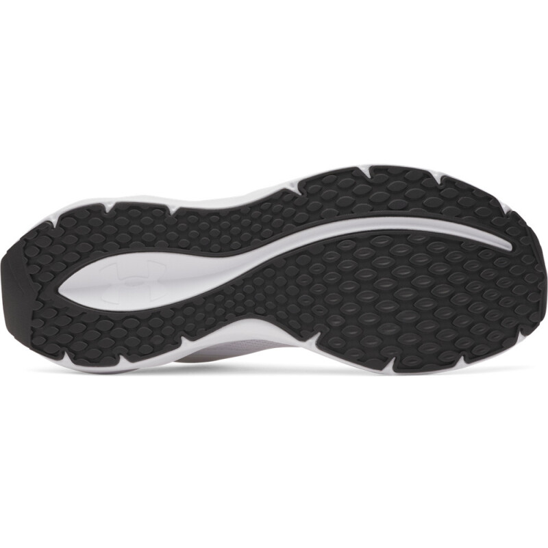UA Ascend-BLU WHT-100