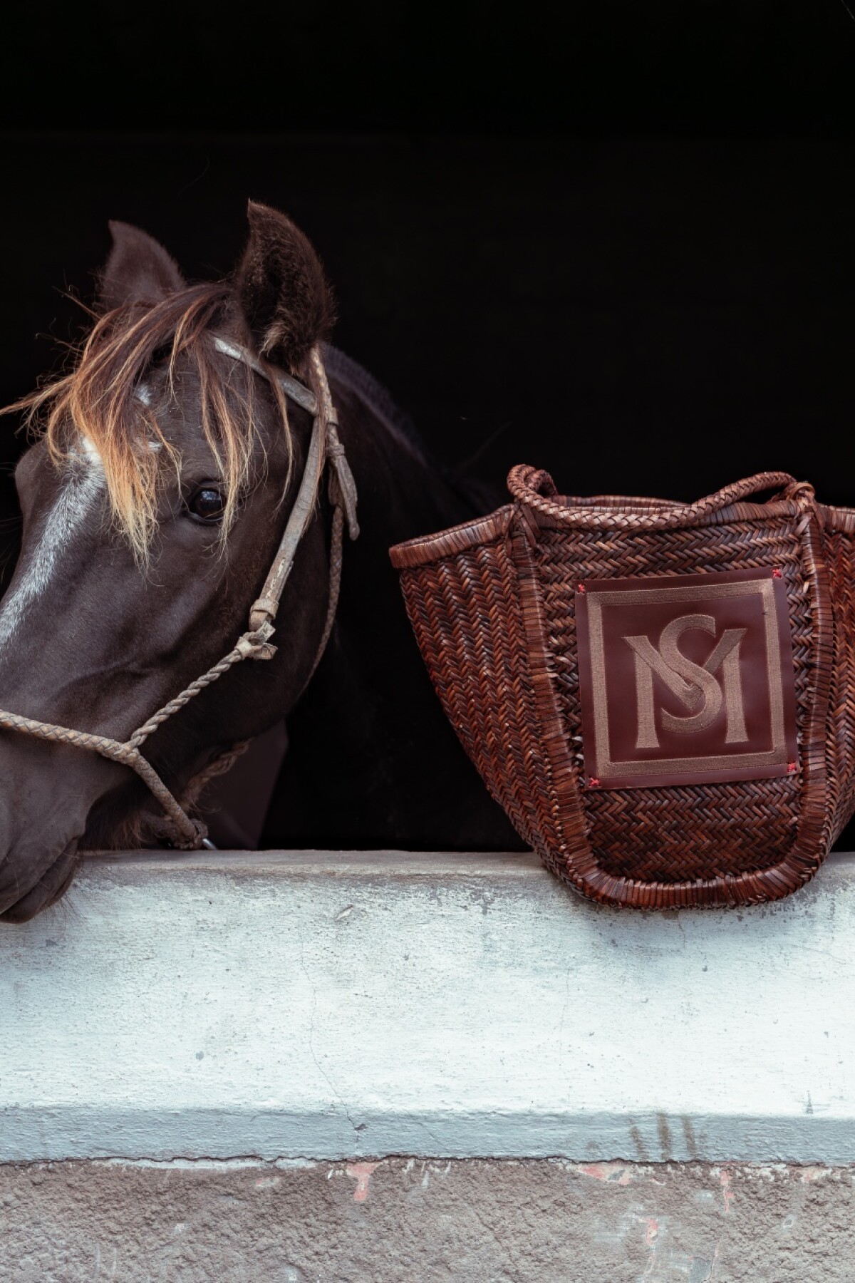 Medium Manea Handbag Chocolate