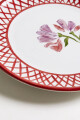 Plato vichy silvestre rojo