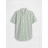 V-SS SHIRTTAIL SARATOGA GREEN