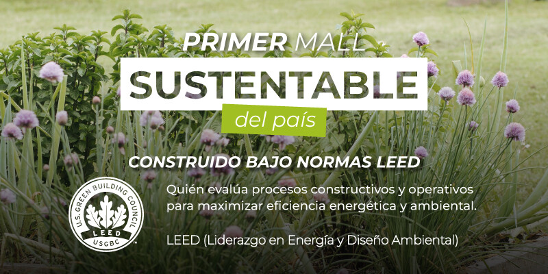 Norma LEED