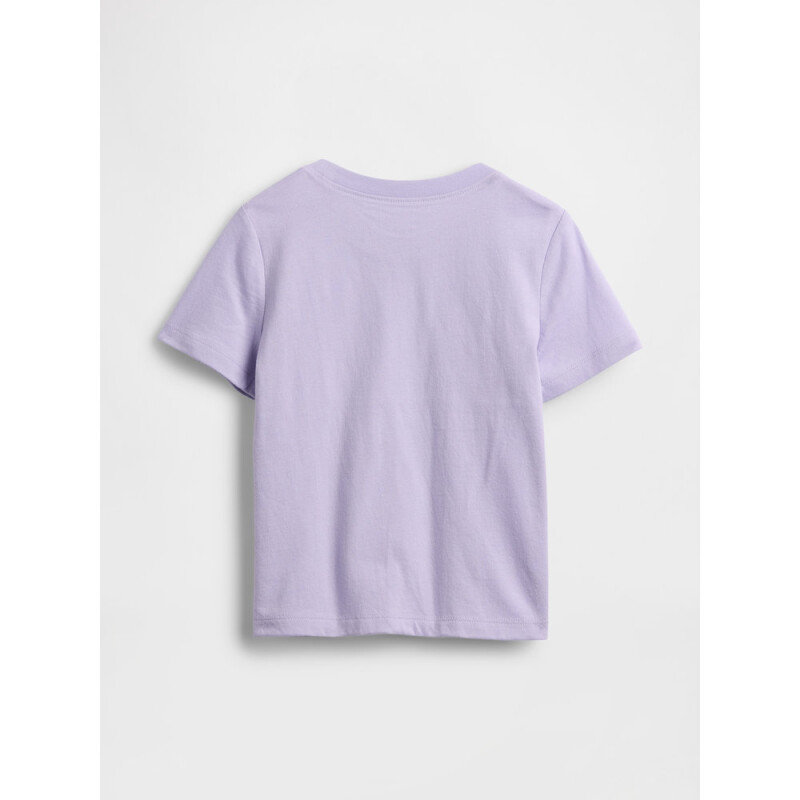 V-DB SS GR T TAPESTRY NAVY 5YRS ORCHID 207