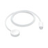 Apple cable magnético USB-C para Apple Watch (1m) Apple cable magnético USB-C para Apple Watch (1m)
