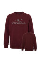Buzo O'Neill Daily Wave Crewneck Rojo