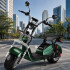 Moto Eléctrica GoGreen Adventure 2000W 20Ah R12 55km/h Verde