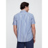 V-SS STANDARD POPLIN BLUE WHITE STRIPE