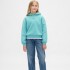 VTG SOFT LOGO PO_FA25 FROSTBITTEN BLUE