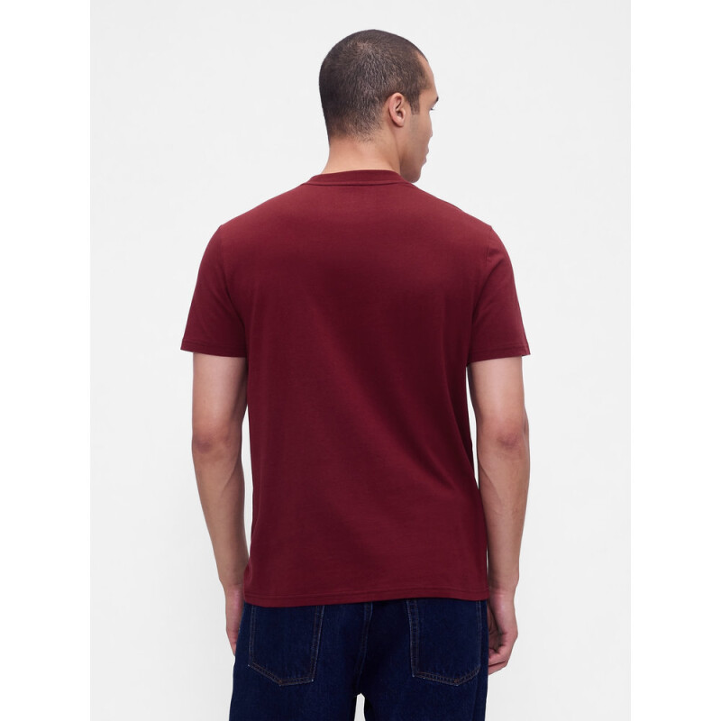 INTL - F SS PKT T LOGO RED DELICIOUS 2