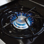 Regal 590 Broil King Regal 590 Broil King