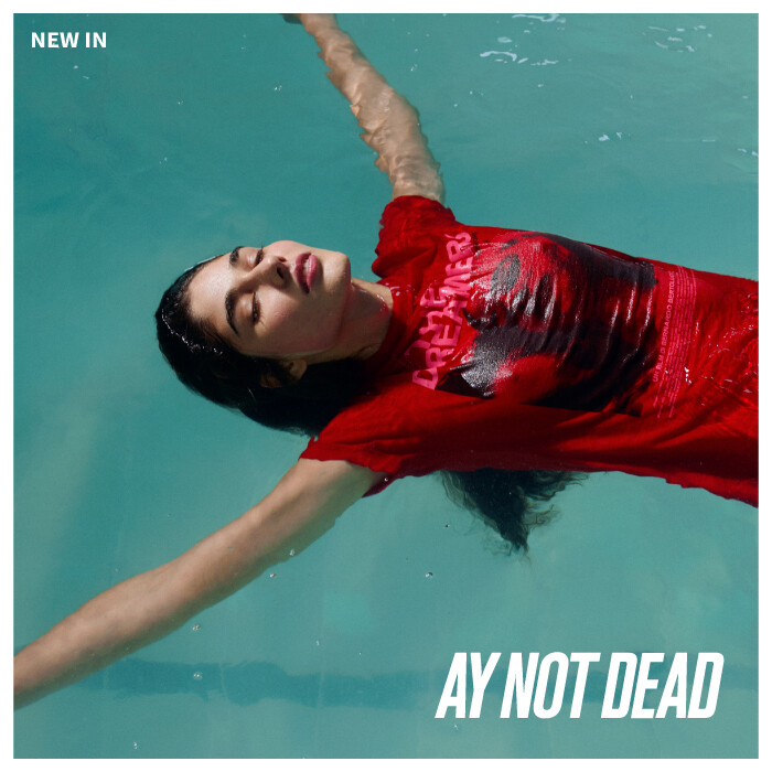 new in ay not
