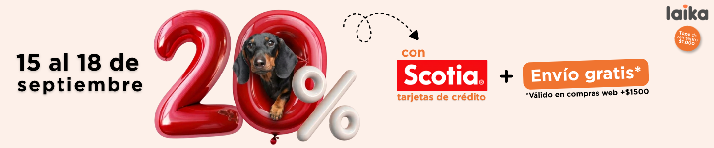 Scotia Septiembre