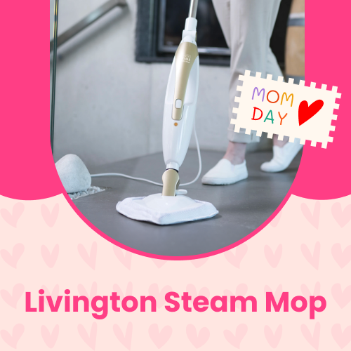 Livington Steam Mop - Abril 2024