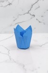Tulipa 15x5 cm CELESTE