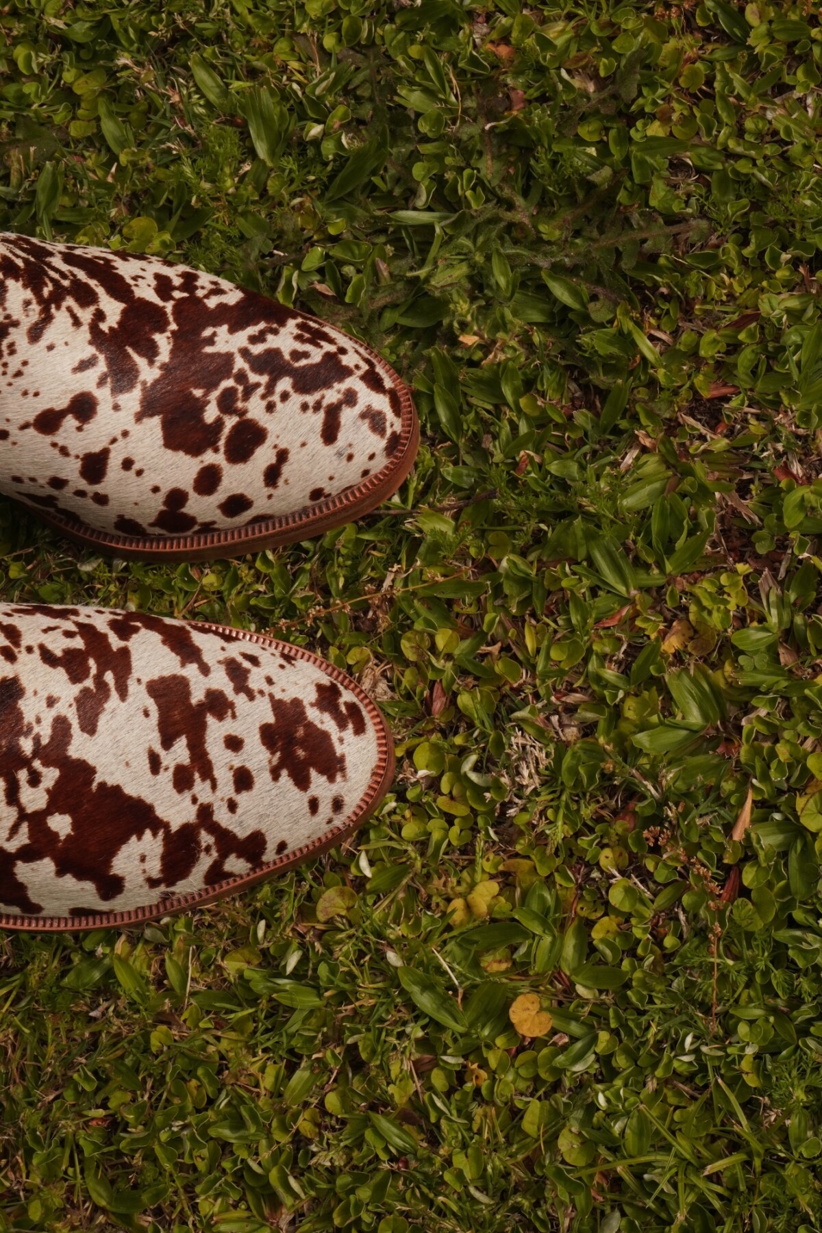 City Boots Print Blanco / Marrón