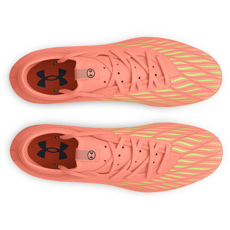 UA U Magnetico Select 4 FG-ORG ORG-800