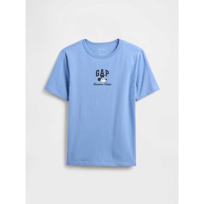 V-DISLOGO SPRING SS LIC GR SP DIS FAM HYACINTH