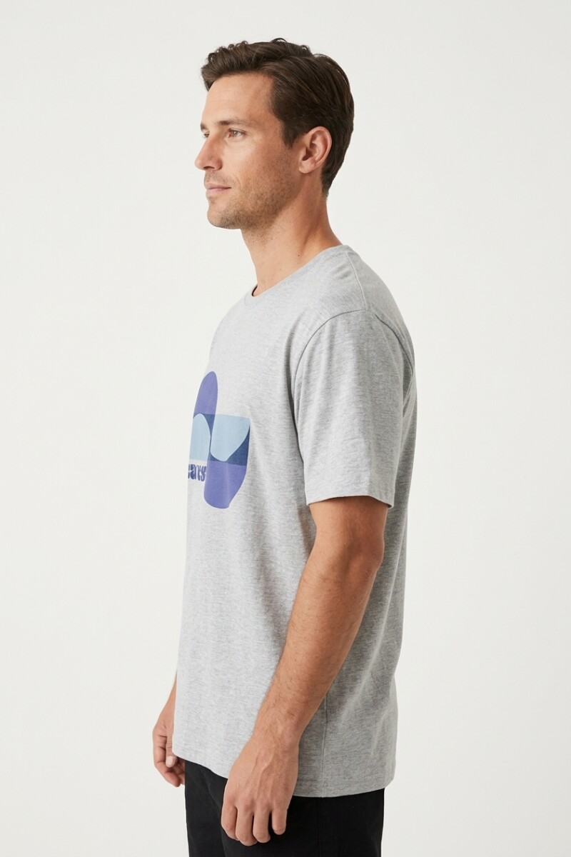 Remera m/c estampada Waves GRIS MELANGE