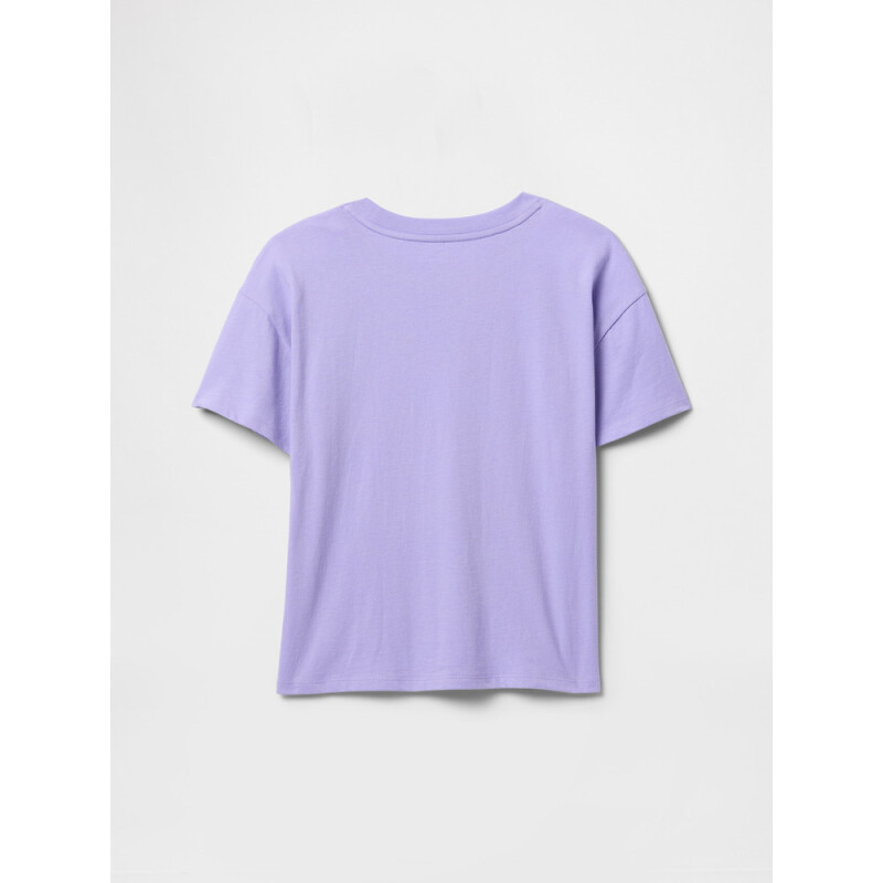 V-SS ELEVATED GR WARM VIOLET 568