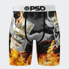 Calzoncillos PSD Fly Money Multicolor