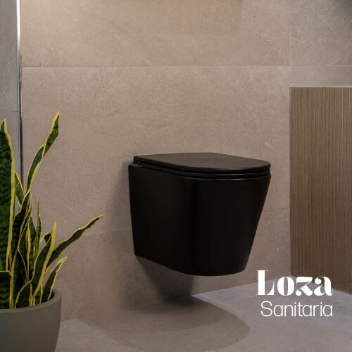 Juegos Loza Sanitaria