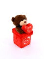 OSO CON CAJA OBSEQUIO ROJO