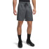 UA Tech Mesh Shorts-RED GRY-012