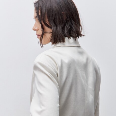 BLAZER VECTOR Crudo
