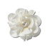 Jibbitz White Fabric Flower With Pearl Multicolor