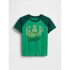 V-FRCH SS LOGO GRPH RAGLAN T GALLANT GREEN