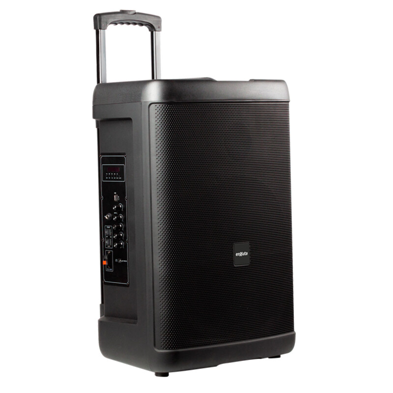 PARLANTE ENXUTA PBENX291550 -Woofer 15” c/Bluetooth -500W N/A