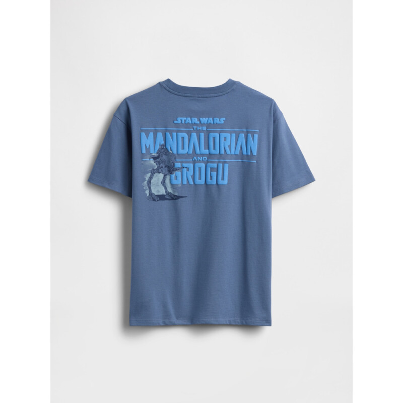 SW SS GRAPHIC RELAXED TEE BAINBRIDGE BLUE