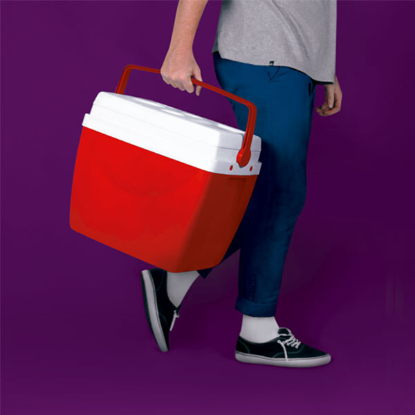 CONSERVADORA 34 LTS. ROJA 47X32X41 ROJO